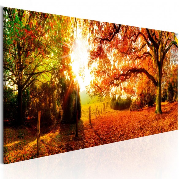 Tablou  Magic of Autumn