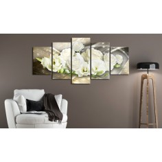 Tablou  The Light of Rose 2