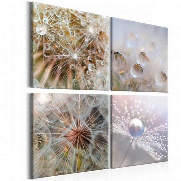 Tablou  Morning Glow