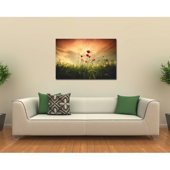 Camp de maci - tablou canvas