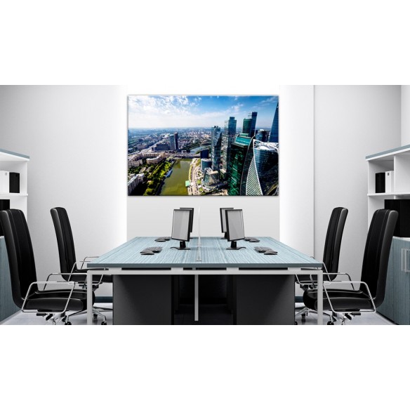 Tablou  Aerial view of Moscow