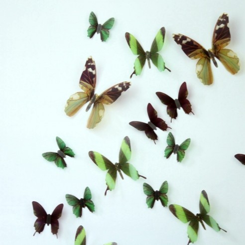 18 Fluturi 3D realisti - BROWN AND GREEN