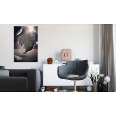 Tablou  Galactic Princess 2