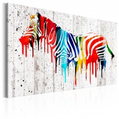 Tablou  Colourful Zebra