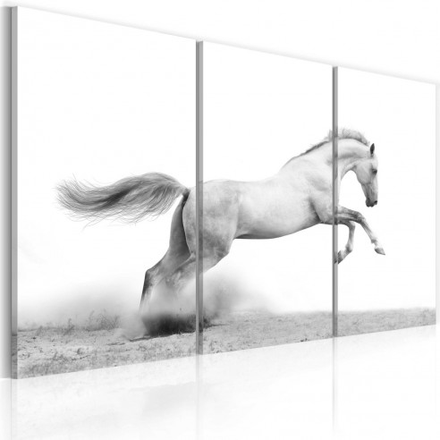 Tablou  A galloping horse