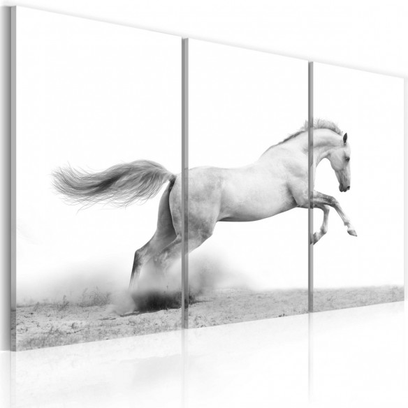 Tablou  A galloping horse