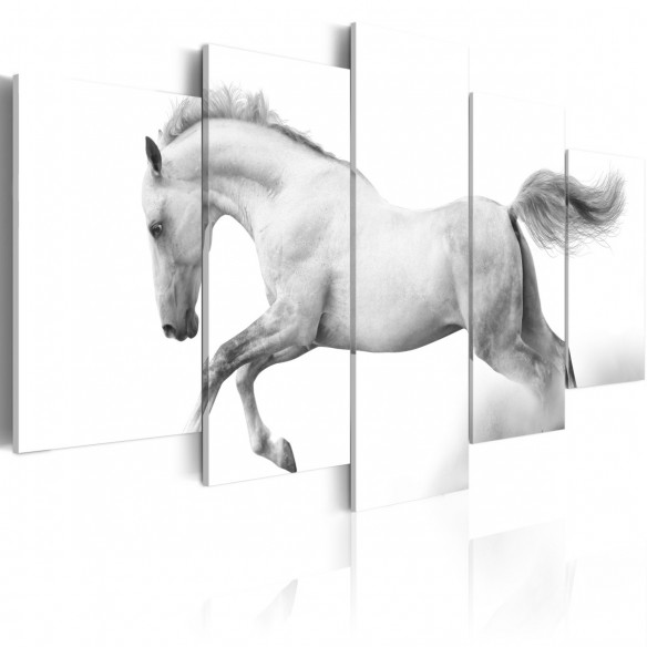 Tablou  Horse passion and freedom