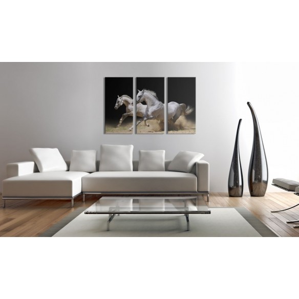 Tablou  Horses power and velocity