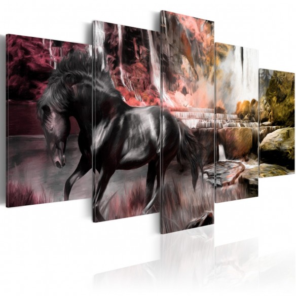 Tablou  Black horse on crimson sky background