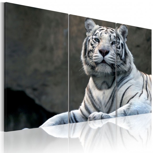 Tablou  White tiger