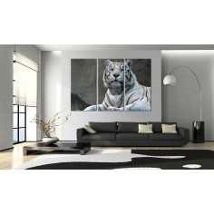 Tablou  White tiger 2