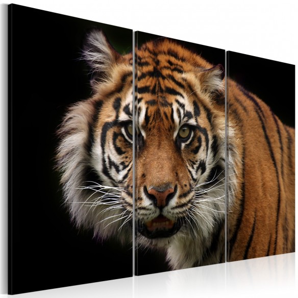 Tablou  A wild tiger