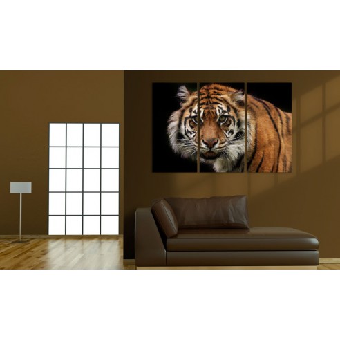 Tablou  A wild tiger