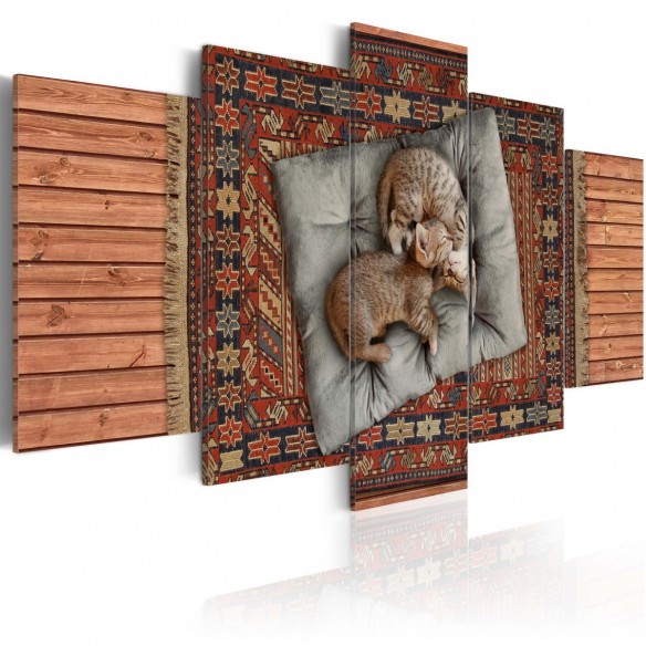 Tablou  Soft kitty, warm kitty, little ball of fur...