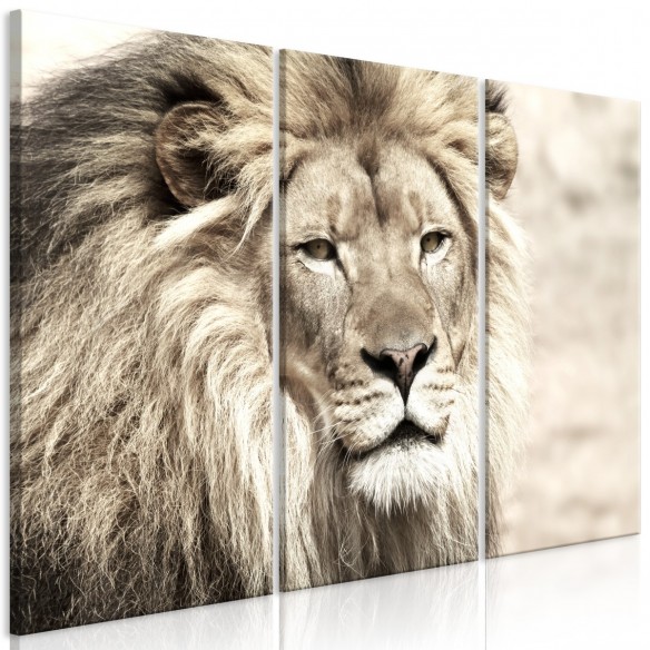 Tablou  The King of Beasts (3 Parts) Beige
