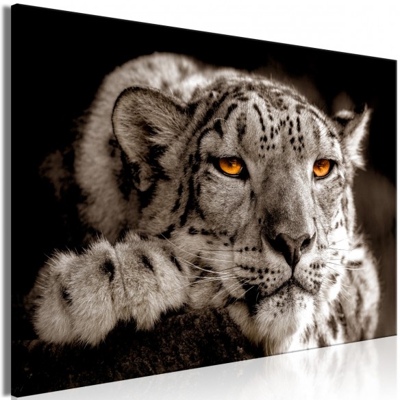 Tablou  Magic Eyes (1 Part) Wide