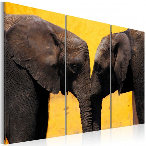 Tablou  Elephant kiss