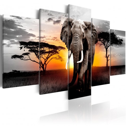 Tablou  Elephant at Sunset