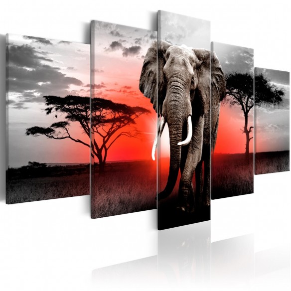 Tablou  Lonely Elephant