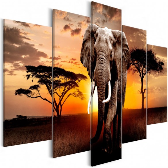Tablou  Wandering Elephant (5 Parts) Wide
