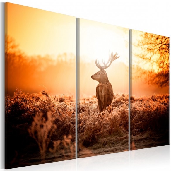 Tablou  Deer in the Sun I