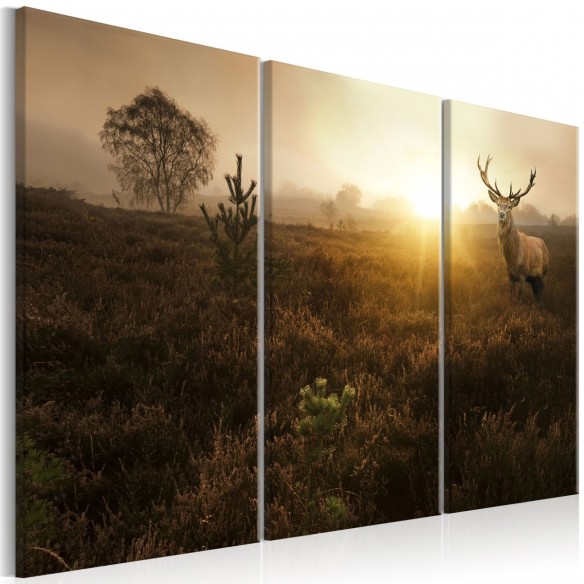 Tablou  Foggy Field I