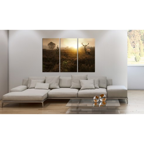 Tablou  Foggy Field I