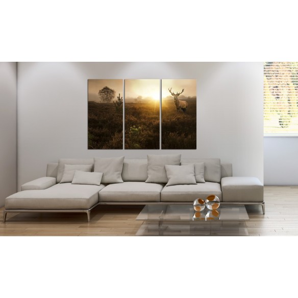 Tablou  Foggy Field I