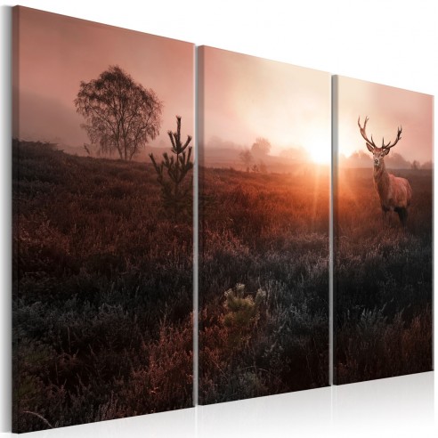 Tablou  Deer in the Sunshine I