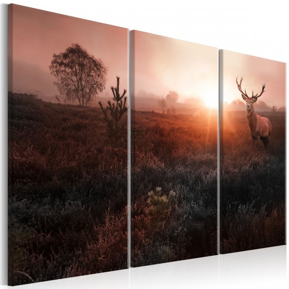 Tablou  Deer in the Sunshine I