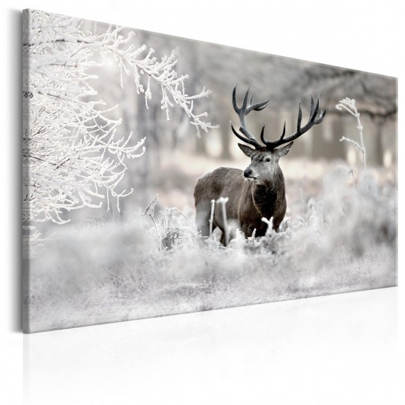 Tablou  Lonely Deer