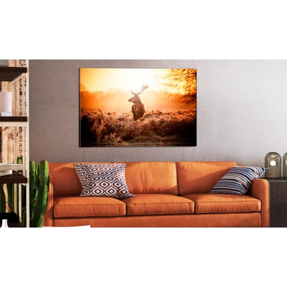 Tablou  Deer in the Sun