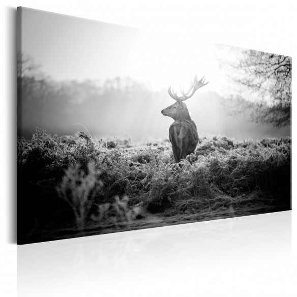 Tablou  Black and White Deer