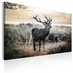 Tablou  Dangerous Horns