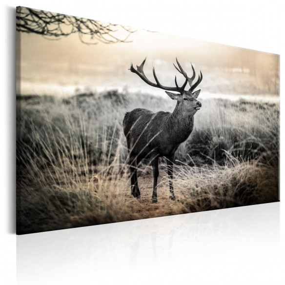 Tablou  Dangerous Horns