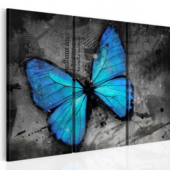 Tablou  The study of butterfly  triptych