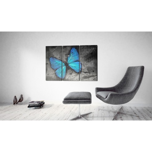Tablou  The study of butterfly  triptych