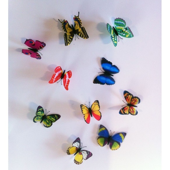 10 Fluturi 3D Multicolori