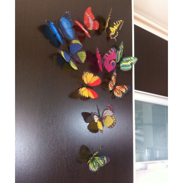 10 Fluturi 3D Multicolori