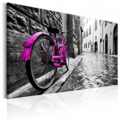 Tablou  Vintage Pink Bike