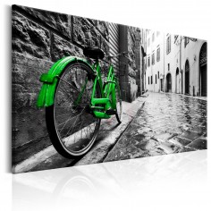 Tablou  Vintage Green Bike