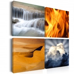 Tablou  Diversity of nature