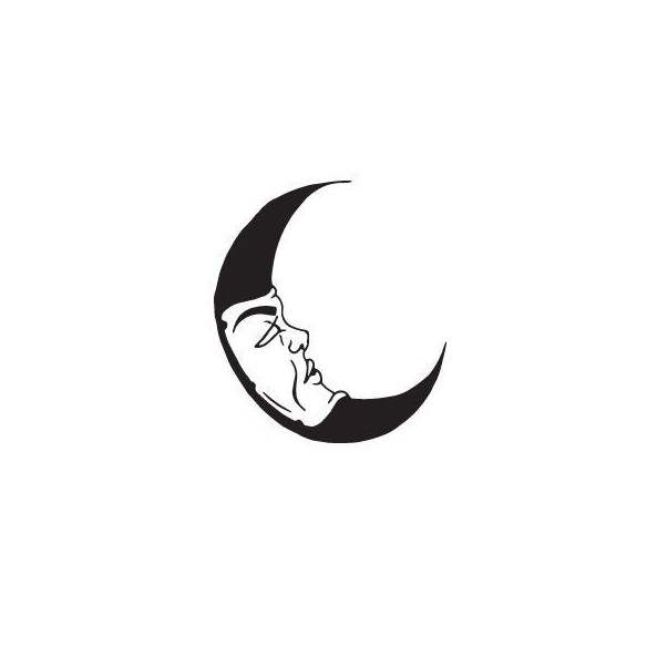 Sticker decorativ Chip de luna
