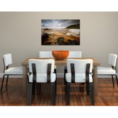 Ape involburate - tablou canvas