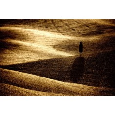 Alone - Peisaj din Toscana - tablou canvas 2