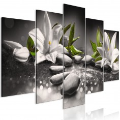 Tablou  Lilies and Stones (5 Parts) Wide Grey