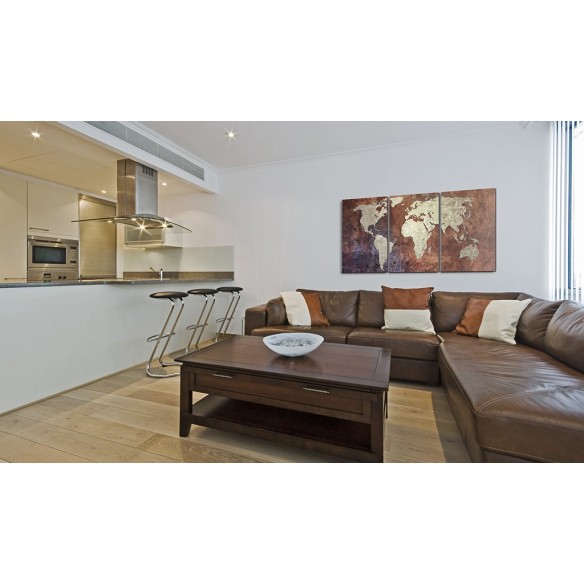 Tablou  Steel continents