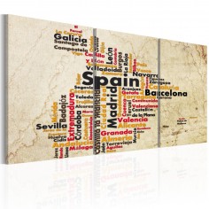 Tablou  Spain text map in colors of national flag