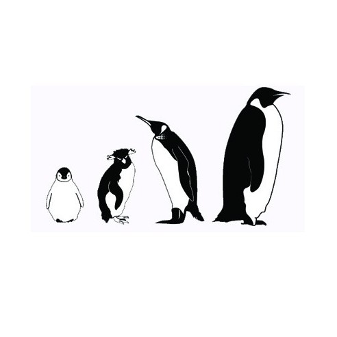 Sticker decorativ Familia de pinguini