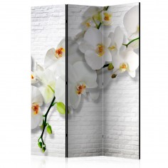 Paravan  The Urban Orchid [Room Dividers]